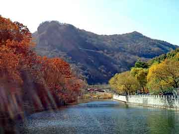 泡芙视频今日最热：丑闻事件曝光，神秘人现场令人震惊，全网热议不断