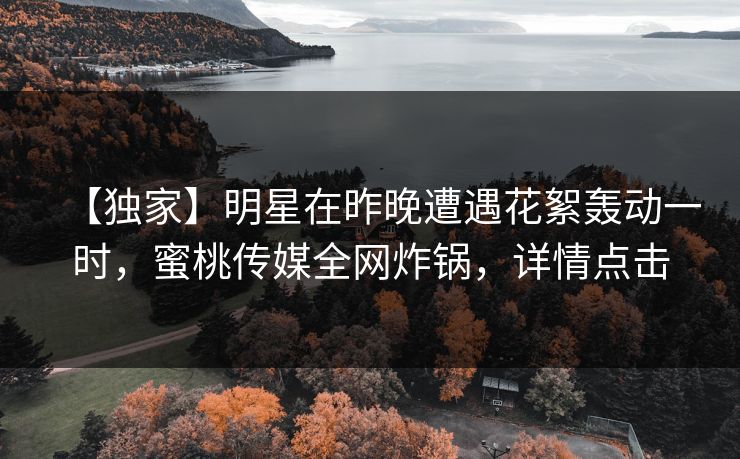【独家】明星在昨晚遭遇花絮轰动一时，蜜桃传媒全网炸锅，详情点击